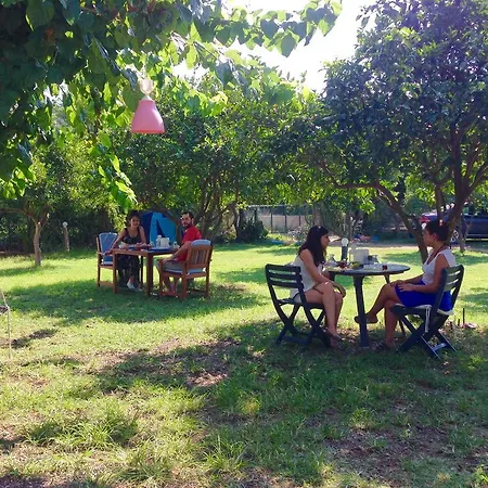 Friends Pension&camping