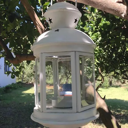 Friends Pension&camping Séjour chez l'habitant *