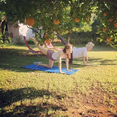 Friends Pension&camping Séjour chez l'habitant Çıralı