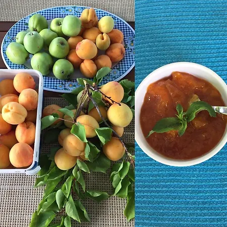 Friends Pension&camping Séjour chez l'habitant *