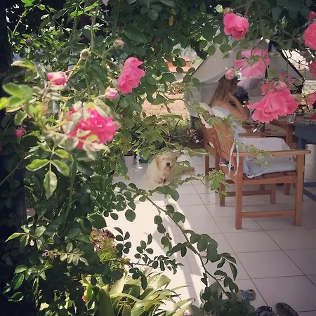 Friends Pension&camping