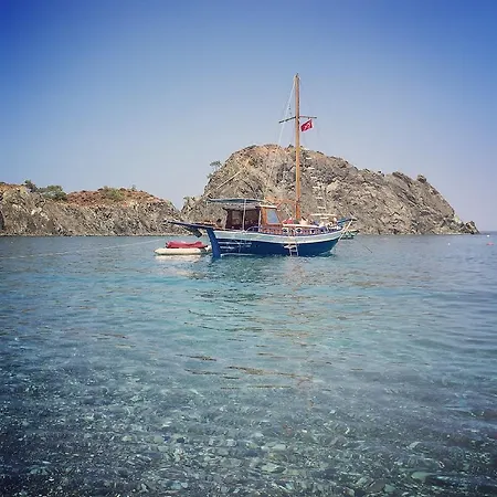 Friends Pension&camping Séjour chez l'habitant