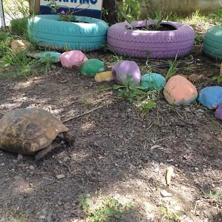 Friends Pension&camping Çıralı