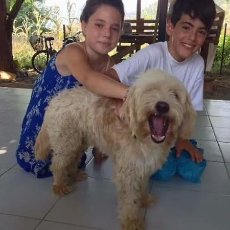 Friends Pension&camping Séjour chez l'habitant