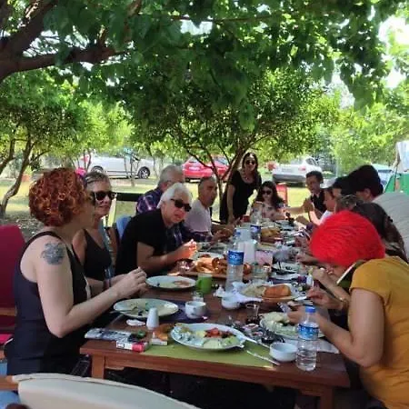 Friends Pension&camping *