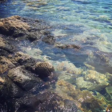 Séjour chez l'habitant Friends Pension&camping *