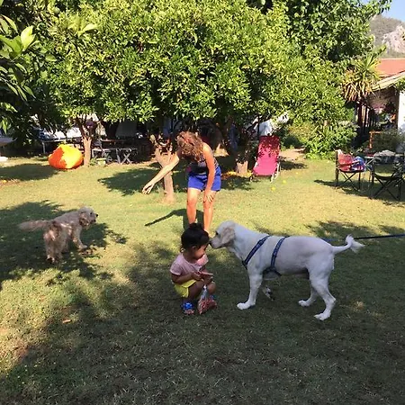 Friends Pension&camping Séjour chez l'habitant *