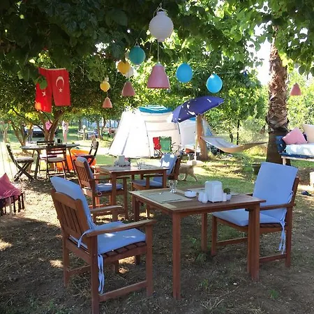 Friends Pension&camping * Çıralı