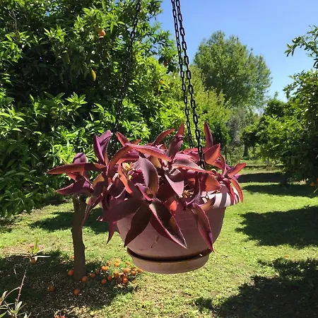 Friends Pension&camping Séjour chez l'habitant *