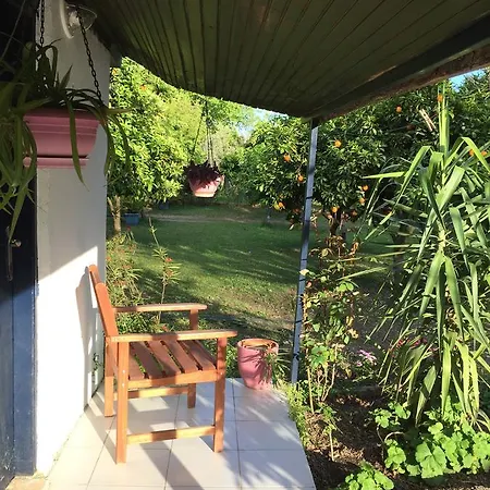 Friends Pension&camping