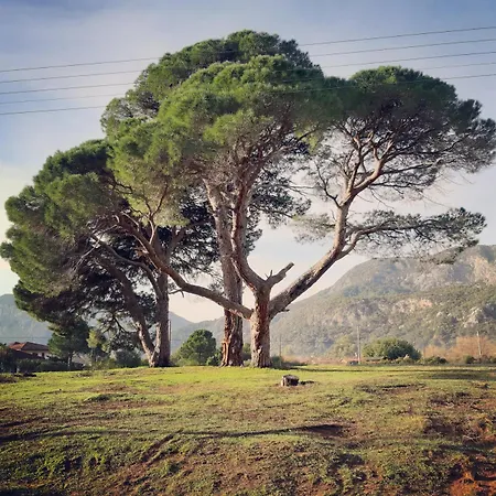 Friends Pension&camping Séjour chez l'habitant *