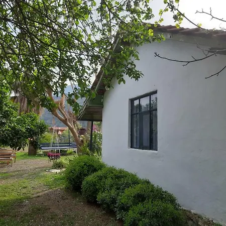 Friends Pension&camping * Çıralı