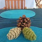 Friends Pension&camping *