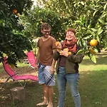 Проживание в семье Friends Pension&camping *