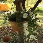Проживание в семье Friends Pension&camping Чирали