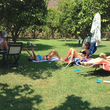 Friends Pension&camping *