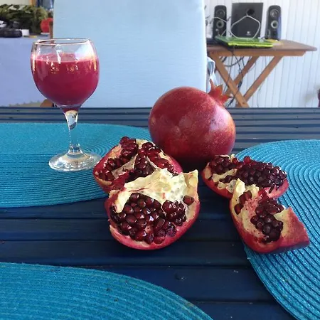 Δωμάτια σε οικογενειακή κατοικία Friends Pension&camping Çıralı