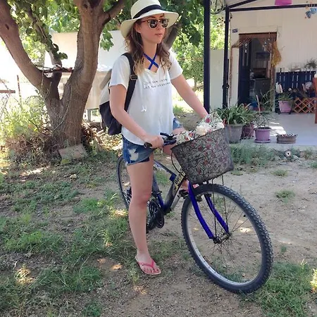 Проживание в семье Friends Pension&camping *