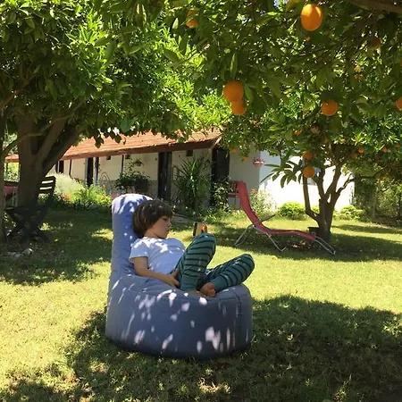 Friends Pension&camping *