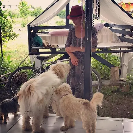 Friends Pension&camping *