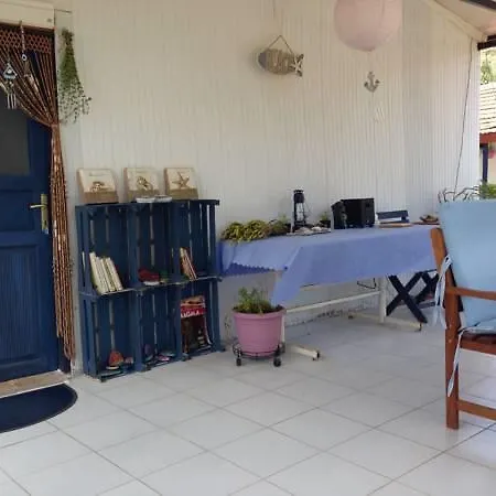 Friends Pension&camping