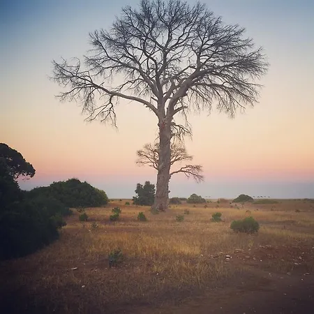 Δωμάτια σε οικογενειακή κατοικία Friends Pension&camping