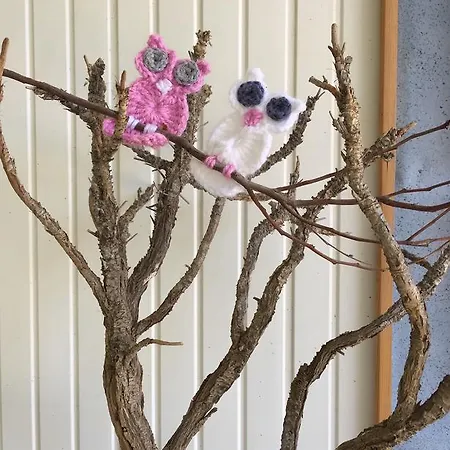 Friends Pension&camping