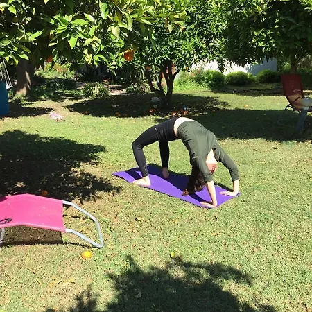 Friends Pension&camping *