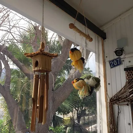 Friends Pension&camping