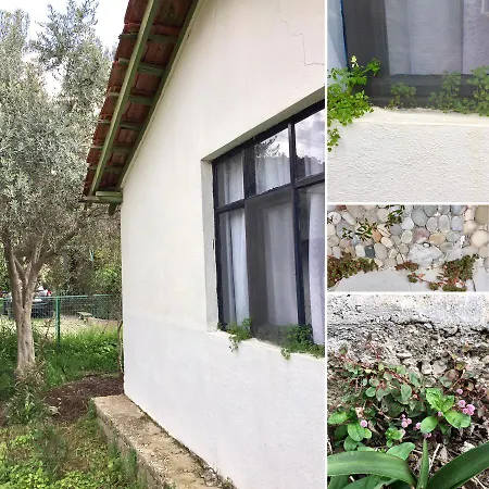 Friends Pension&camping Çıralı