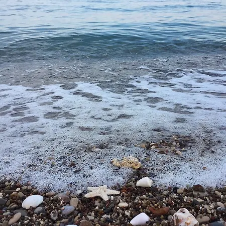 Friends Pension&camping * Çıralı