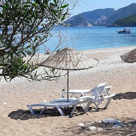 Friends Pension&camping