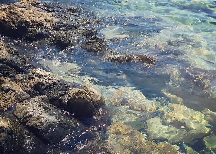 Homestay Friends Pension&camping *