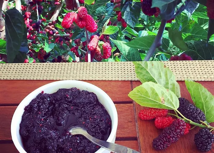 Friends Pension&camping * Чирали