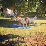 Friends Pension&camping Alloggio in famiglia Çıralı