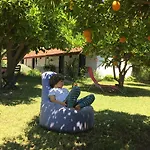 Friends Pension&camping *