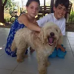 Friends Pension&camping Quarto em Acomodações Particulares