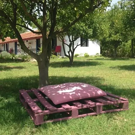 Friends Pension&camping Accommodatie bij particulieren Çıralı
